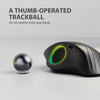 Trackball Mouse